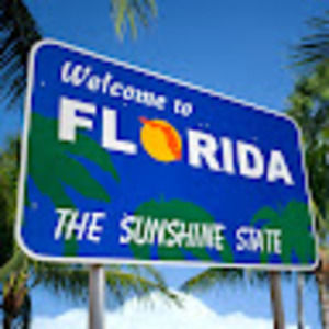 Meet your Posher, Joey